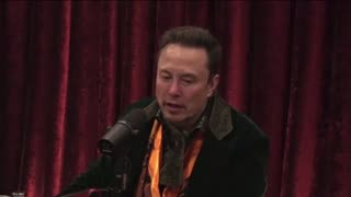 Elon Musk - Environmentalists Have Gone too Far - What If AI Gets Programmed by the Extinctionists?