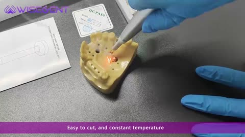 New Dental Endodontic Heated Cordless Gutta Percha Cutter 8 Pcs Tips