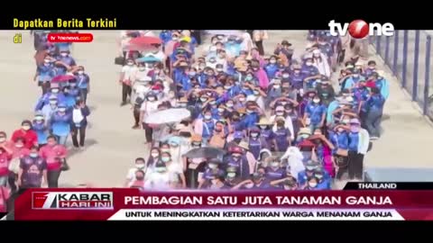 Pembagian Satu Juta Tanaman Ganja di Thailand | Kabar Hari Ini tvOne