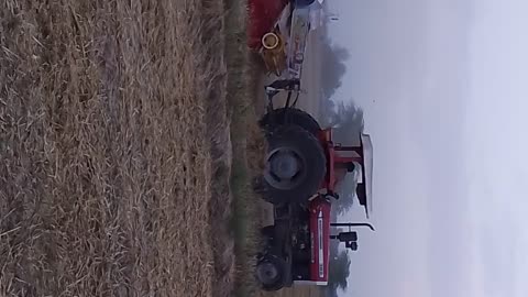 @Massey Ferguson