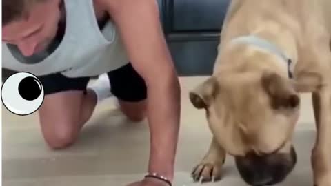 Dog vs human eats food very fast and well 2022 video clip