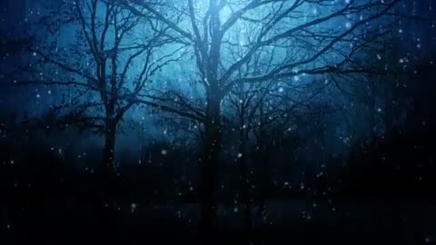 Snowfall Meditation Music Beautiful Music Official Video