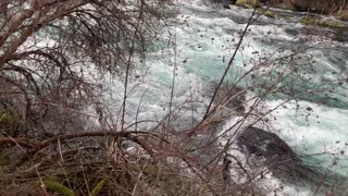 White Water Rapids of Metolius River National Recreation Area – Central Oregon