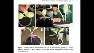 Alt-Tech 142 Vegetable Grafting