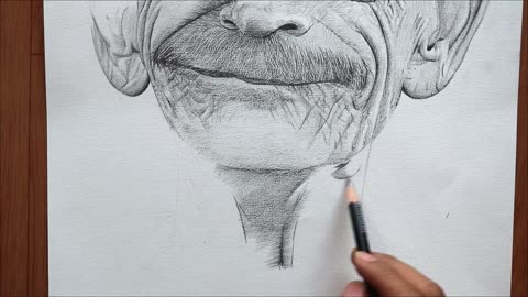 Graphite pencil Drawing | No Blending