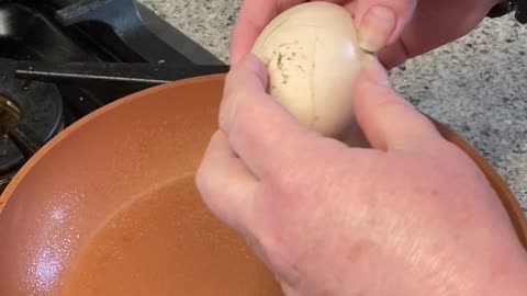 Freak, egg inside an egg!