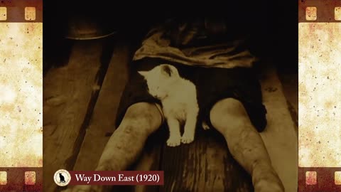 Way Down East (1920) 🐱 Cat Movies 🎥🐈