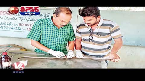 Wounded Cobra Undergoes Spinal Cord Surgery | Teenmaar News | V6 News