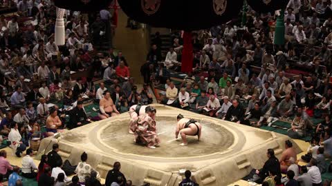 Sumo wrestling