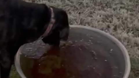 Frozen water in December in Texas