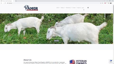 American Meat Goat Registry - Introduction