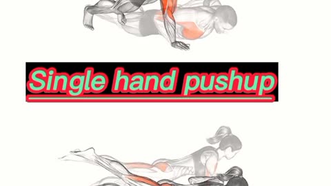 Single Hand pushup,single leg pushup Chest workout