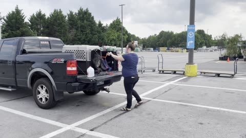 Shepherd Loads Into Truck Easily with Expert Dog Training!