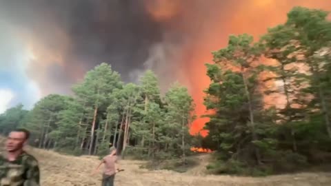 🔥 Strong fire at the positions of the Russians in the forest on the left bank of the