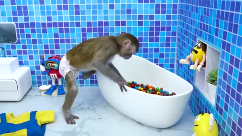 Monkey learns How To Rock Climbing Wall adventure and go to swimming pool |