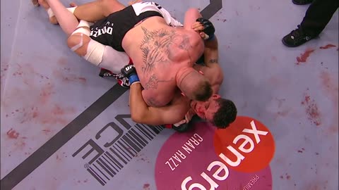 Free Fight: Brock Lesnar vs Frank Mir 2