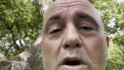Joe Rogan reveals he contacted coronavirus, cured within two days with a cocktail of therapeutics