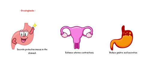 Misoprostol (Abortion Pill) - Uses, Mechanism Of Action, Adverse Effects, And Contraindications