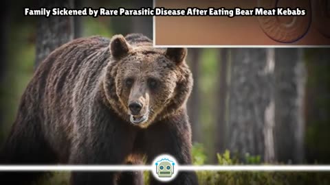 Family Gets Brain Worm Disease After Eating Undercooked Bear Meat