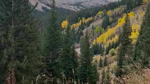 Boss Mine via Rock Creek Trail