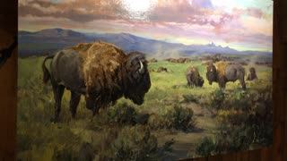 Pre-Varnish on major Buffalo Painting.