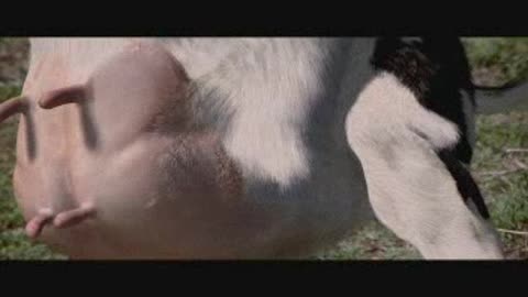 10202 Pixar - Karate Cow