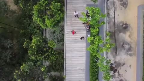 Fennel apartment drone view