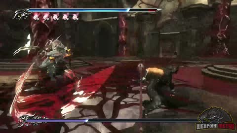 Ninja Gaiden Sigma 2 - Chapter 17 - Genshin - Boss Guide