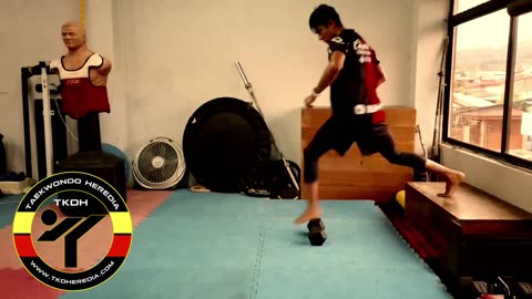 Entrenamiento de pontencia para el TAEKWONDO 1