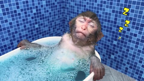 Monkey Baby Bon Bon bath in a bathtub with rainbow fish and play in the farm with ducklings