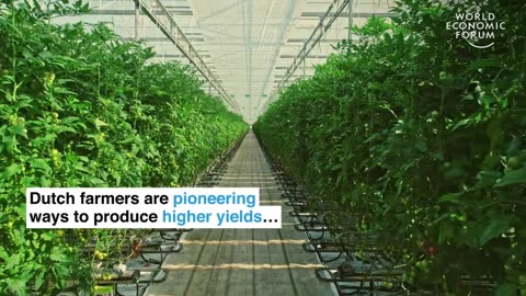 Pioneering in Food Revolution