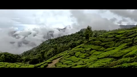 Munnar | Top Station | Kerala | Telugu Travel Video | Episode 8