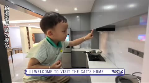 Welcome to visit the cat's home