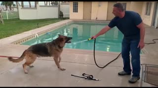 Marshall Getting A Bath With A Hose