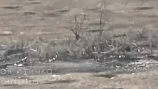 🇷🇺 Krasnopol Strike Obliterates Ukrainian Dugout | RCF