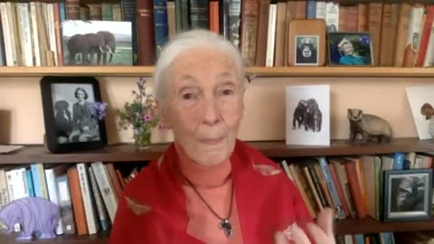 🍀The AP Interview🍀 Jane Goodall says 'our being' integral to tapestry of life🍀