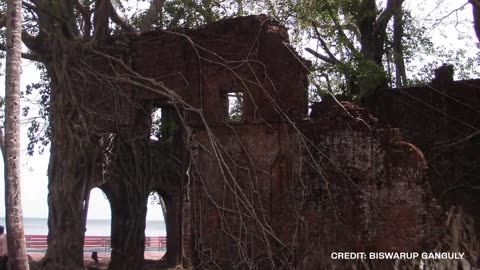 5 Massive Abandoned Islands That Actually Exist