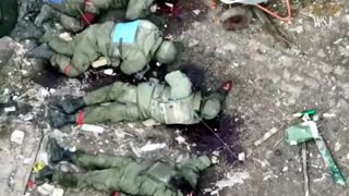 Video appears to show Ukrainian forces firing on surrendering Russians