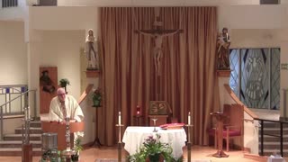 Homily for the 4th Sunday of Easter "A" (with 1st Holy Communion)
