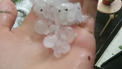 Aftermath of summer hail storm in Finland