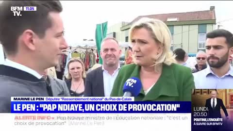 Remaniement analyse de Marine Le Pen