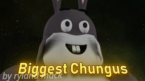 big chungus