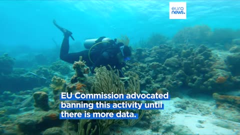 European NGOs call for more debate on deep-sea mining | A-Dream