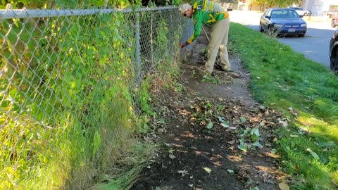 Overgrown Sidewalk Near IMPOSSIBLE To Use | Let's Transform This Mess!