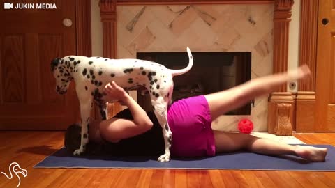 Dog Yoga: Pup Is Really Happy To Be In His Mom's Yoga Workout | The Dodo