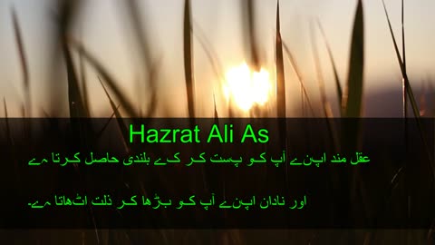 Hazrat Ali Quotes | Islamic Wisdom | Life of Muslims