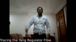 - Tracing the Yang regulator Flow - Tracer le radiant circuit Regulateur Yang.