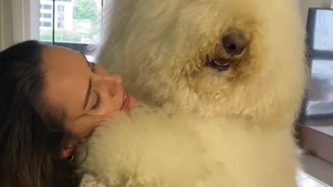Dog Mom Holds Her Giant Fluffy Poodle