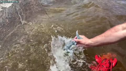 Sea Animal Toys This Summer at the Shore