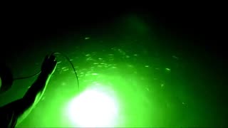 The Green Blob Underwater LED FIshing Light in Action!!!